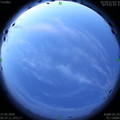 1590525460.jpg