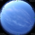 1590525595.jpg