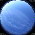 1590525775.jpg