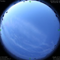 1590525925.jpg