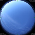 1590526180.jpg