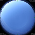 1590526676.jpg