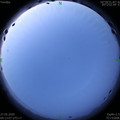 1590527606.jpg