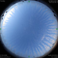 1590533489.jpg