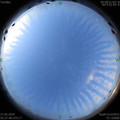 1590533879.jpg