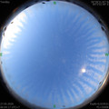 1590534269.jpg