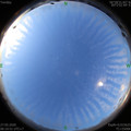 1590534659.jpg