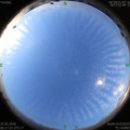 1590535050.jpg