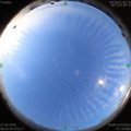 1590535455.jpg
