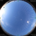 1590536235.jpg