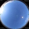 1590537016.jpg