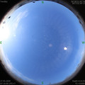 1590538576.jpg