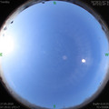 1590539357.jpg