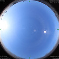 1590540137.jpg