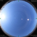 1590540918.jpg