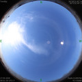 1590541308.jpg