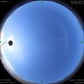 1590544429.jpg