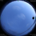 1590593443.jpg