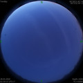 1590608391.jpg