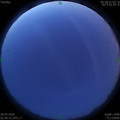 1590608451.jpg
