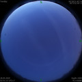 1590608511.jpg