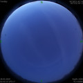 1590608571.jpg