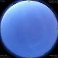 1590609036.jpg
