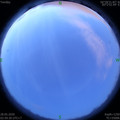 1590609607.jpg