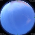 1590609817.jpg