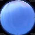 1590609937.jpg