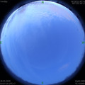 1590610087.jpg