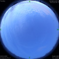 1590610147.jpg