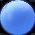 1590610207.jpg