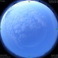 1590610612.jpg