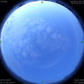 1590610822.jpg