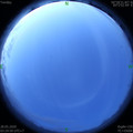 1590611437.jpg