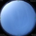 1590614919.jpg