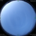 1590615099.jpg