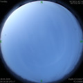 1590615279.jpg