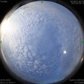 1590622288.jpg