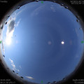 1590801716.jpg