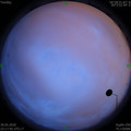 1590855488.jpg