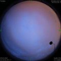 1590855608.jpg