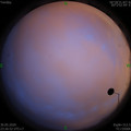 1590856028.jpg