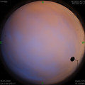 1590856283.jpg