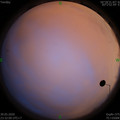 1590856343.jpg