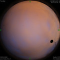 1590856643.jpg