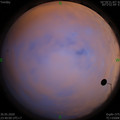 1590856823.jpg