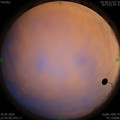 1590857138.jpg