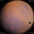 1590857498.jpg